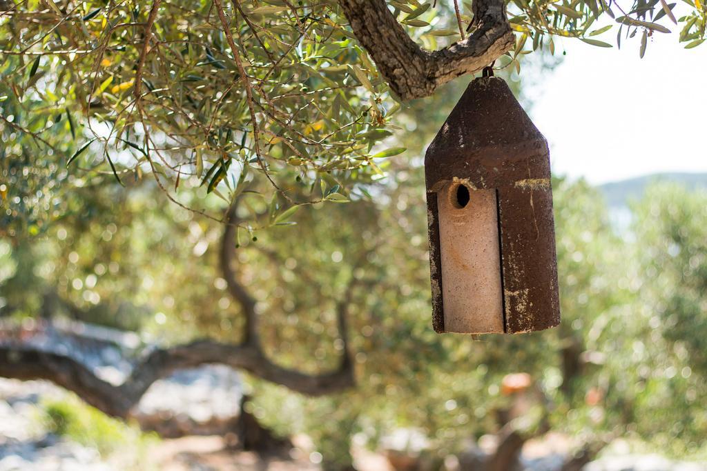 Holiday Home Nikol Veli Lošinj Екстериор снимка
